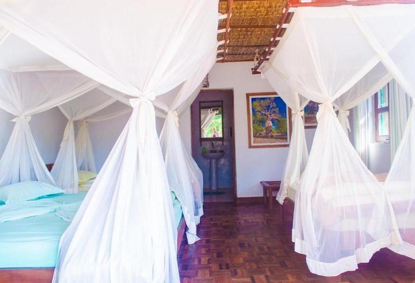 اتاق استاندارد چهار تخته, Relais Du Kirindy