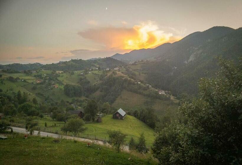 חדר סטנדרט נוף להרים, Pensiunea Magura