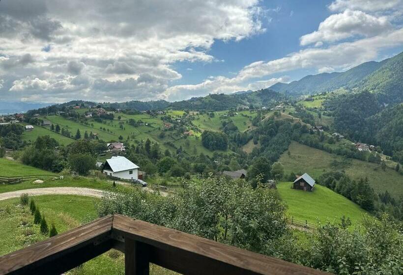 חדר סטנדרט נוף להרים, Pensiunea Magura