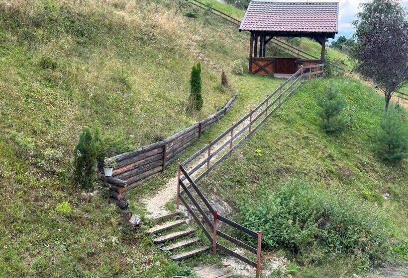 Номер Стандарт, Pensiunea Magura