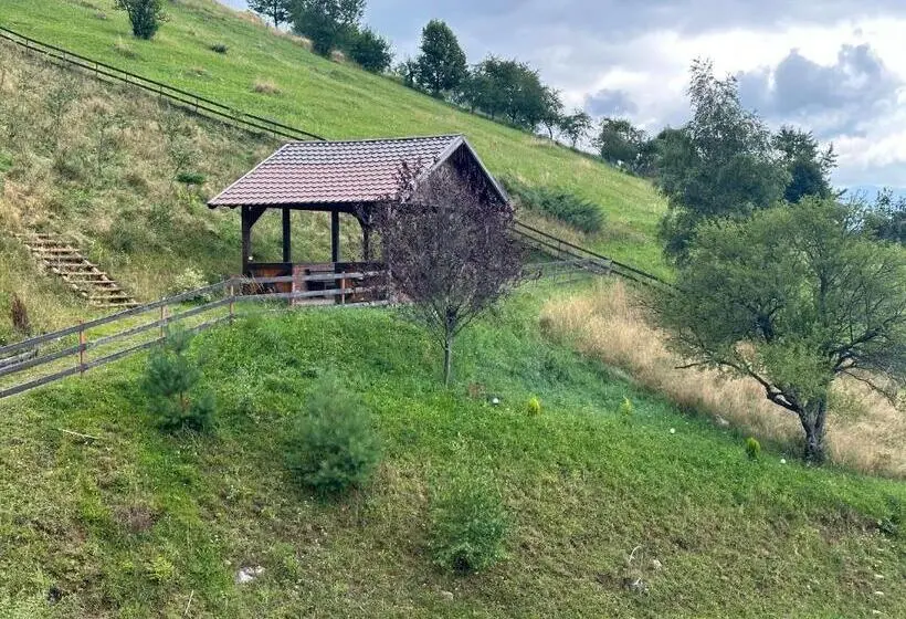 Standard-huone, Pensiunea Magura