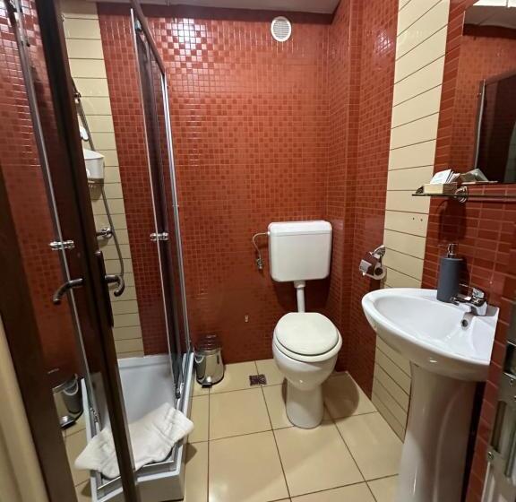 חדר סטנדרט, Pensiunea Magura