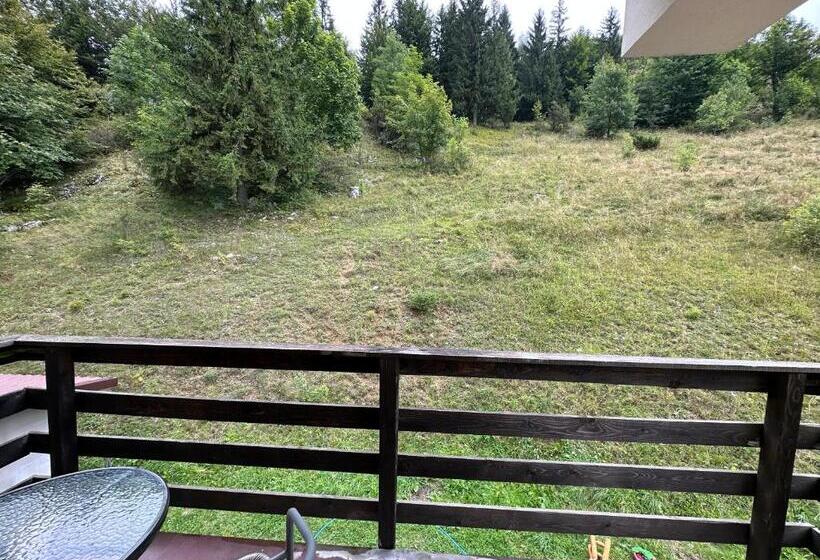 Номер Стандарт, Pensiunea Magura