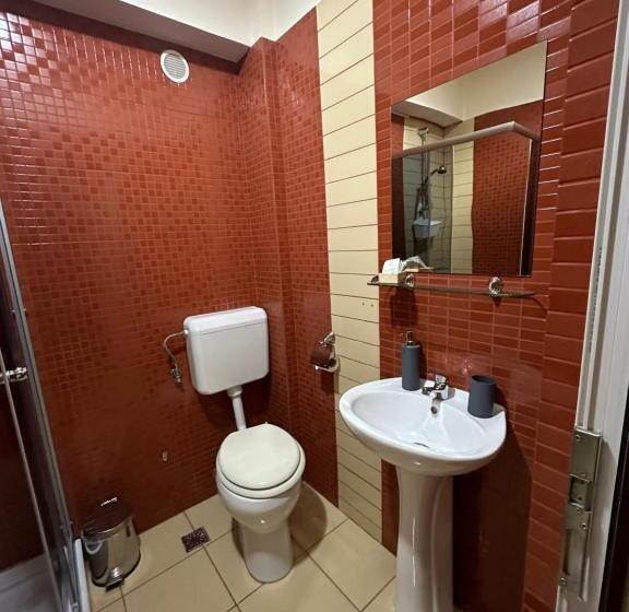 חדר סטנדרט נוף להרים, Pensiunea Magura