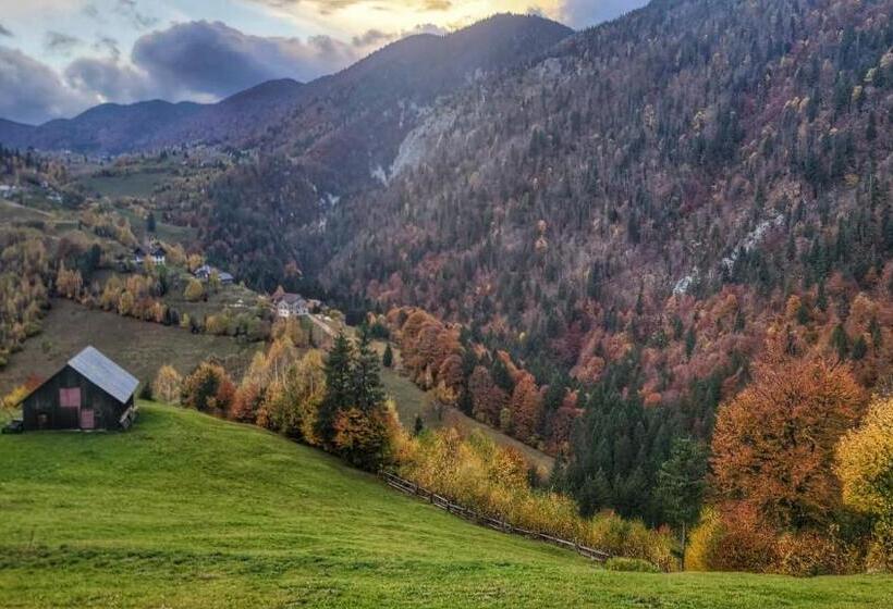غرفة قياسية مطلة على الجبل, Pensiunea Magura