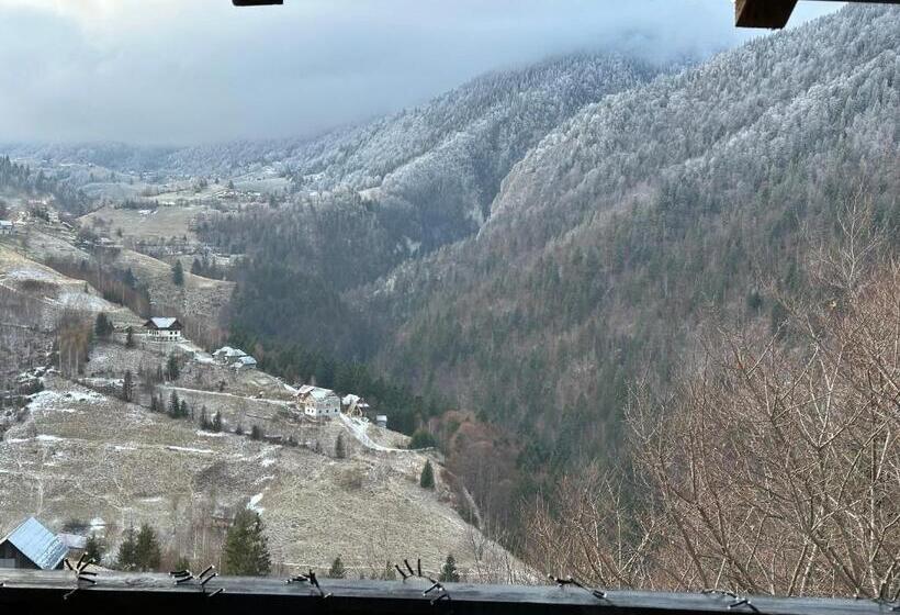 חדר סטנדרט נוף להרים, Pensiunea Magura