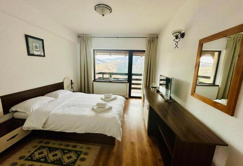 חדר סטנדרט נוף להרים, Pensiunea Magura