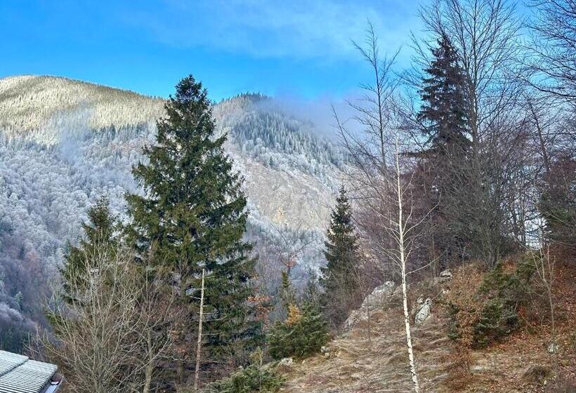 חדר סטנדרט, Pensiunea Magura