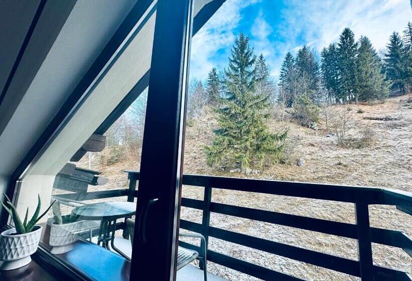 חדר סטנדרט, Pensiunea Magura