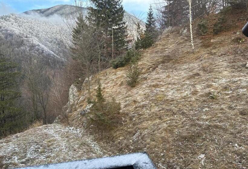 חדר סטנדרט, Pensiunea Magura