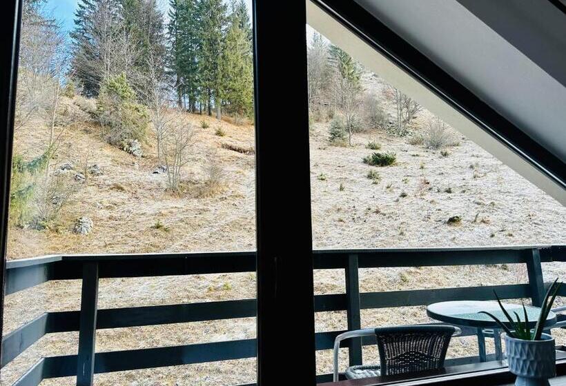 غرفة قياسية, Pensiunea Magura