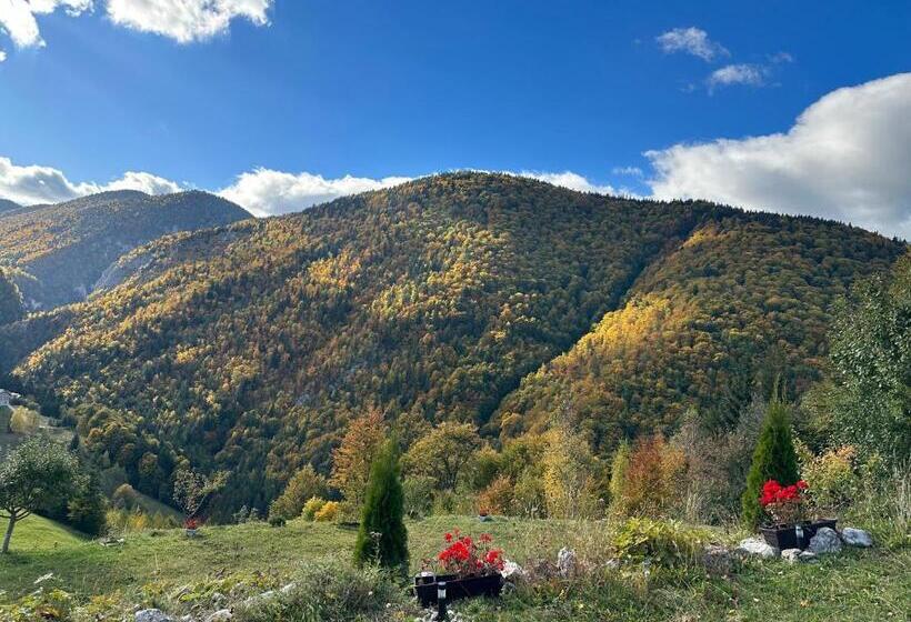 דירת חדר, Pensiunea Magura