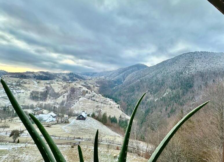 דירת חדר, Pensiunea Magura