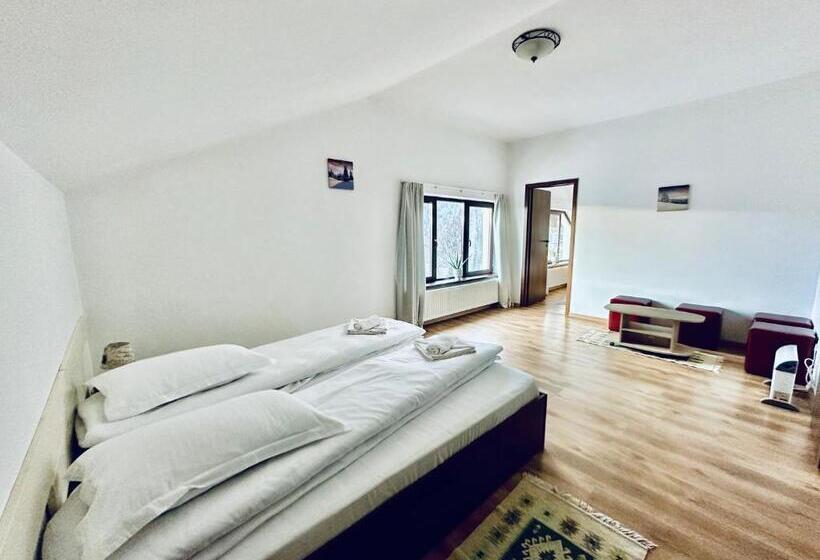 شقة غرفة واحدة, Pensiunea Magura