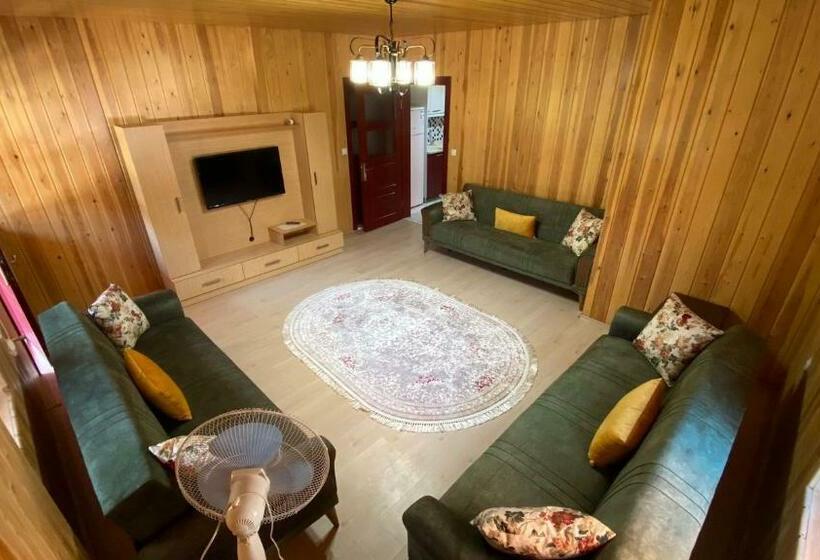 带1个卧室的豪华公寓, çavuş Apart