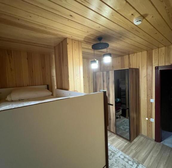 带1个卧室的豪华公寓, çavuş Apart