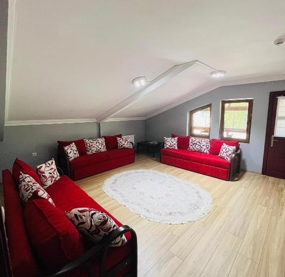 带1个卧室的豪华公寓, çavuş Apart