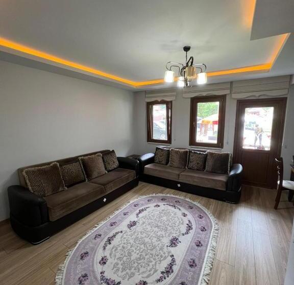 低层单卧公寓, çavuş Apart