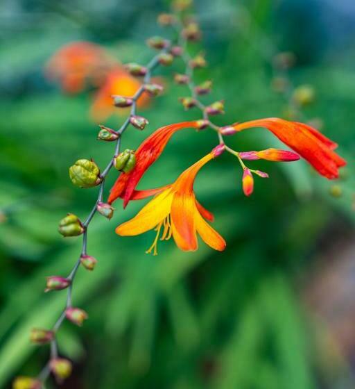 スタンダードルーム, Departamentos De La Plaza