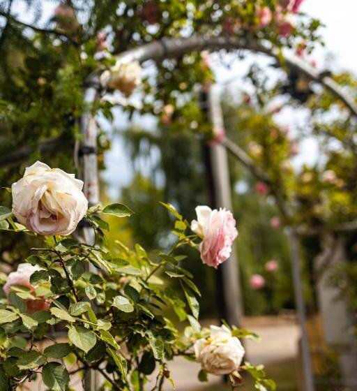 スタンダードルーム, Departamentos De La Plaza