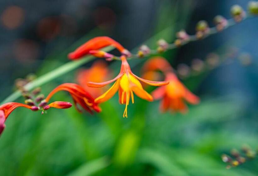 スタンダードルーム, Departamentos De La Plaza