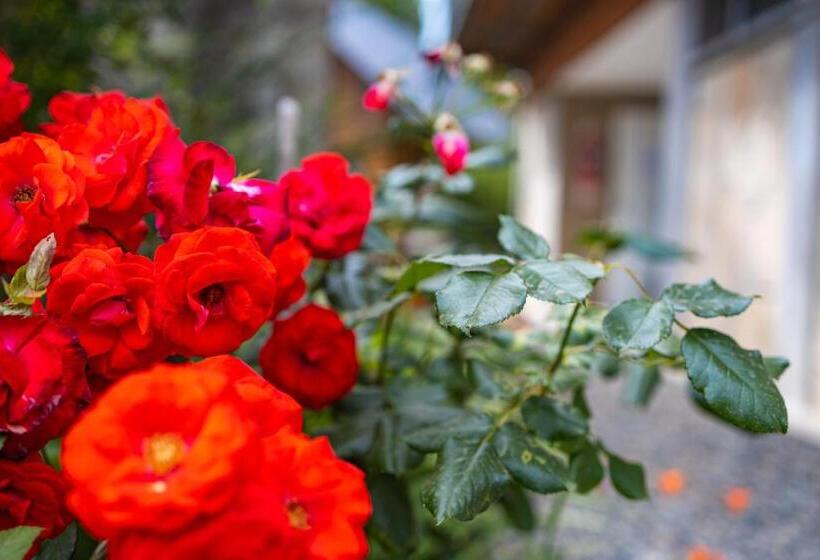 スタンダードルーム, Departamentos De La Plaza