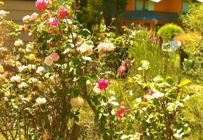 スタンダードルーム, Departamentos De La Plaza