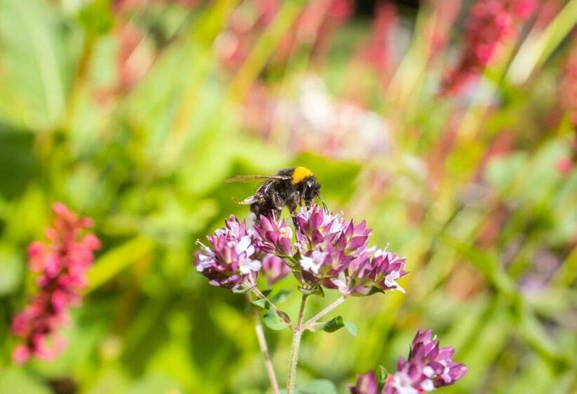 ２ベッドルームアパートメント, Departamentos De La Plaza