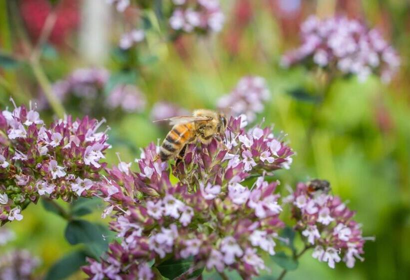 ２ベッドルームアパートメント, Departamentos De La Plaza