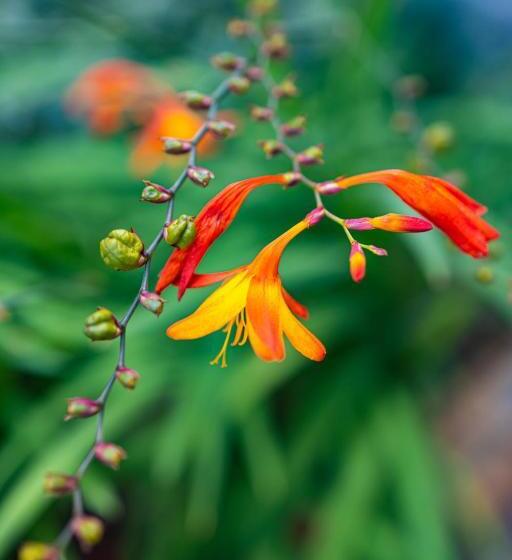 ２ベッドルームアパートメント, Departamentos De La Plaza