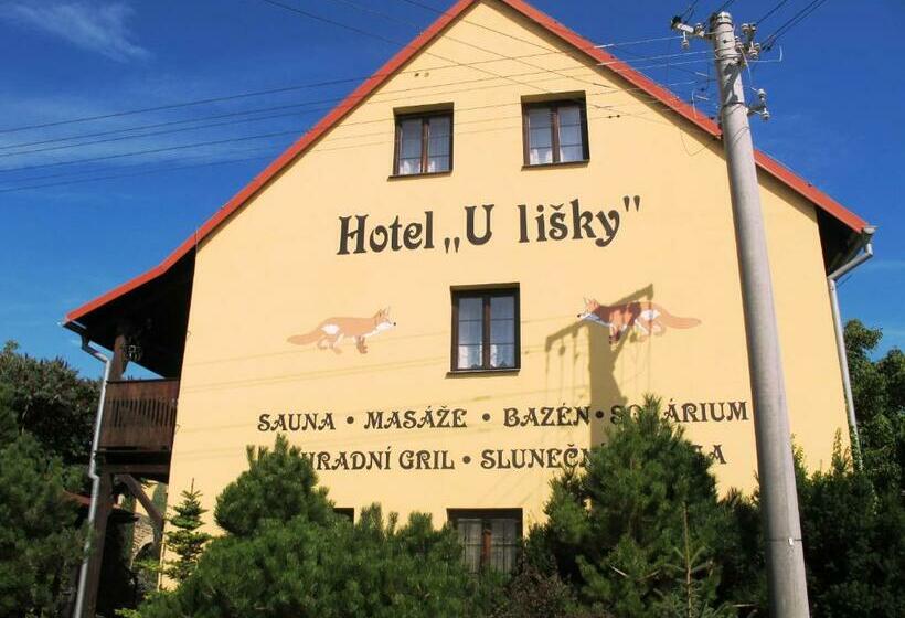 חדר סטנדרט, U Lišky