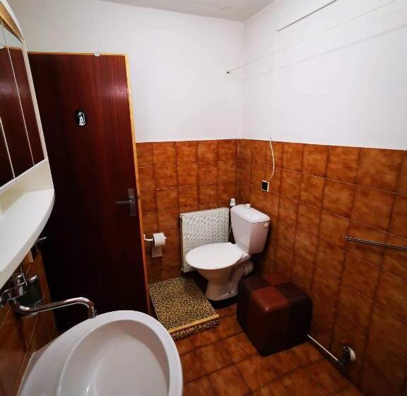 Standard-huone, Penzion U Arnošta Skláře