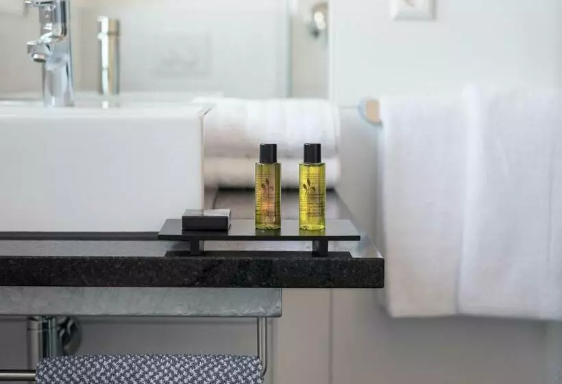 スタンダードルーム, Boutique Hotel Bellevue Rheinfelden / Basel