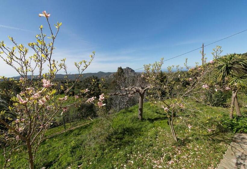 اتاق استاندارد با تراس, Relais De Saleccia