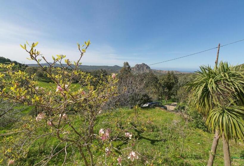 اتاق استاندارد با تراس, Relais De Saleccia