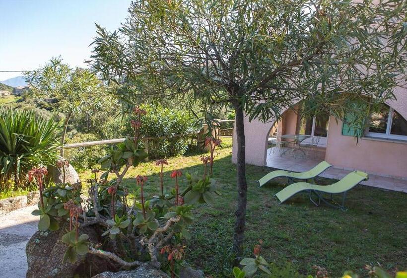 آپارتمان 1 خوابه, Relais De Saleccia