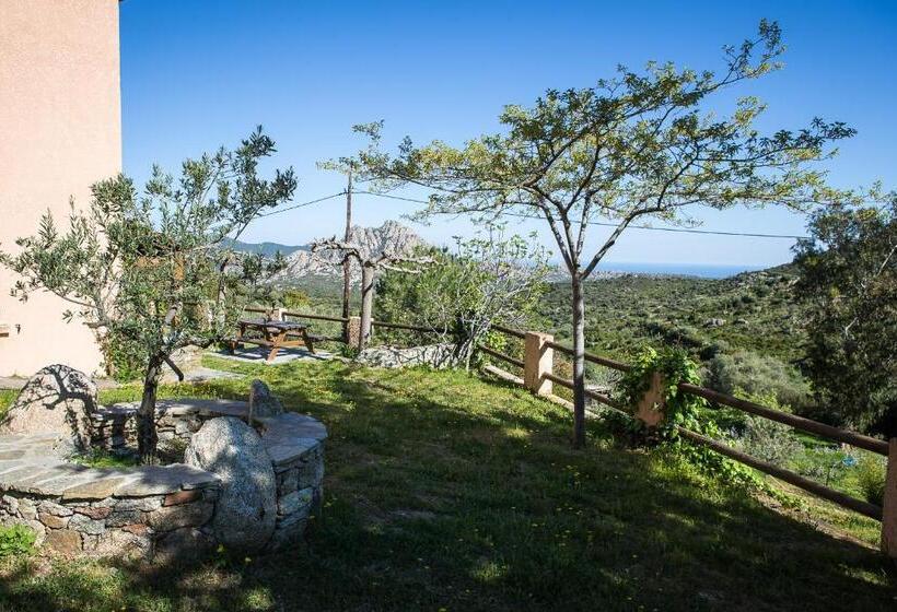 اتاق استاندارد, Relais De Saleccia