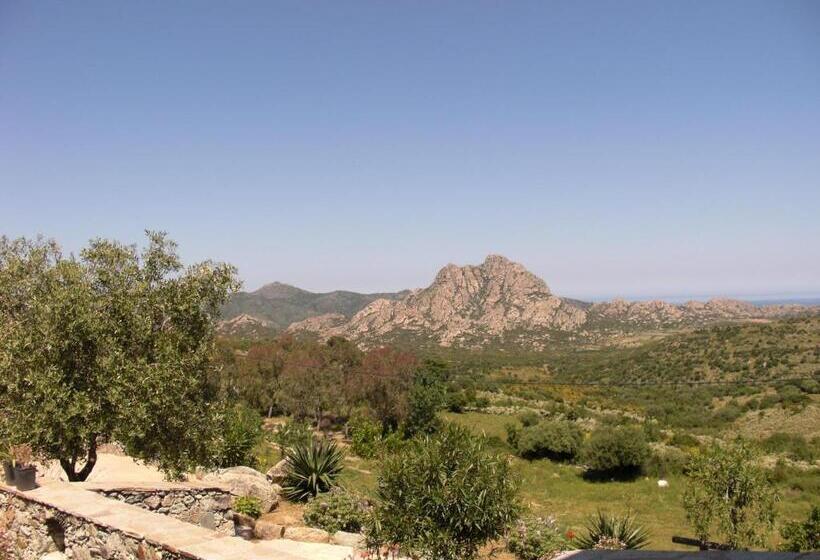 آپارتمان 1 خوابه, Relais De Saleccia