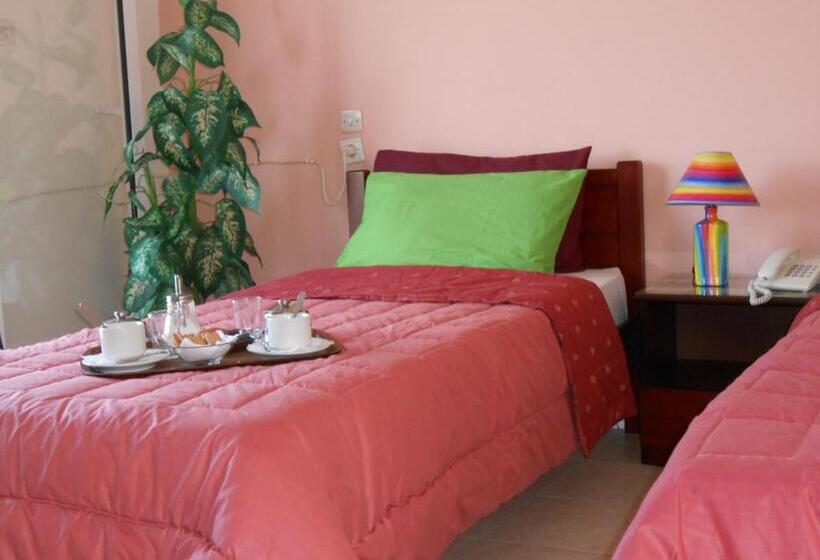 スタンダードルーム, Neon Astron