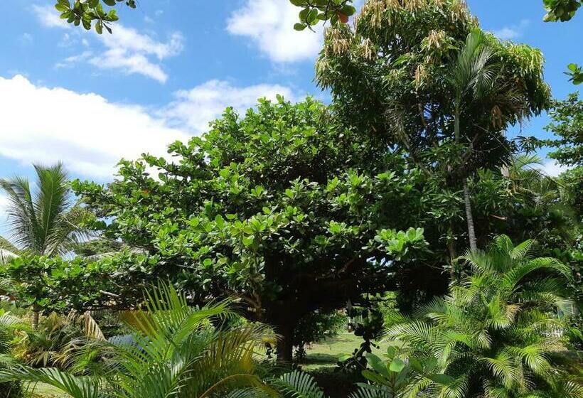 اتاق استاندارد با بالکن, Portsmouth Beach