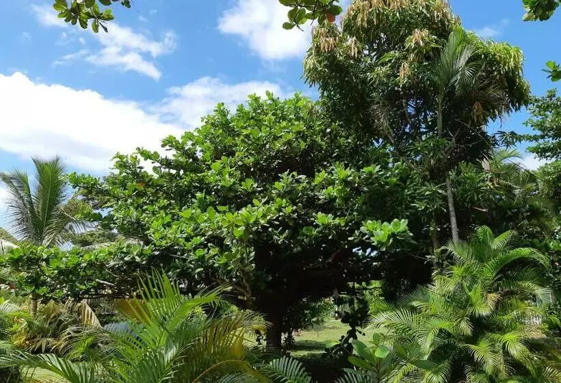اتاق استاندارد با بالکن, Portsmouth Beach