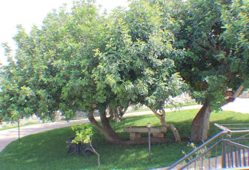 اتاق راحتی سه تخته, Le Due Palme