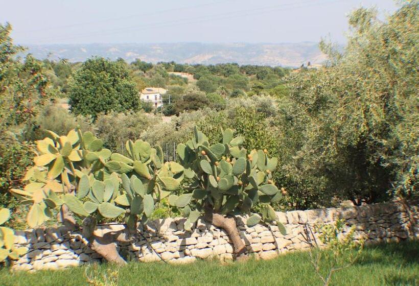 エコノミールーム, Le Due Palme