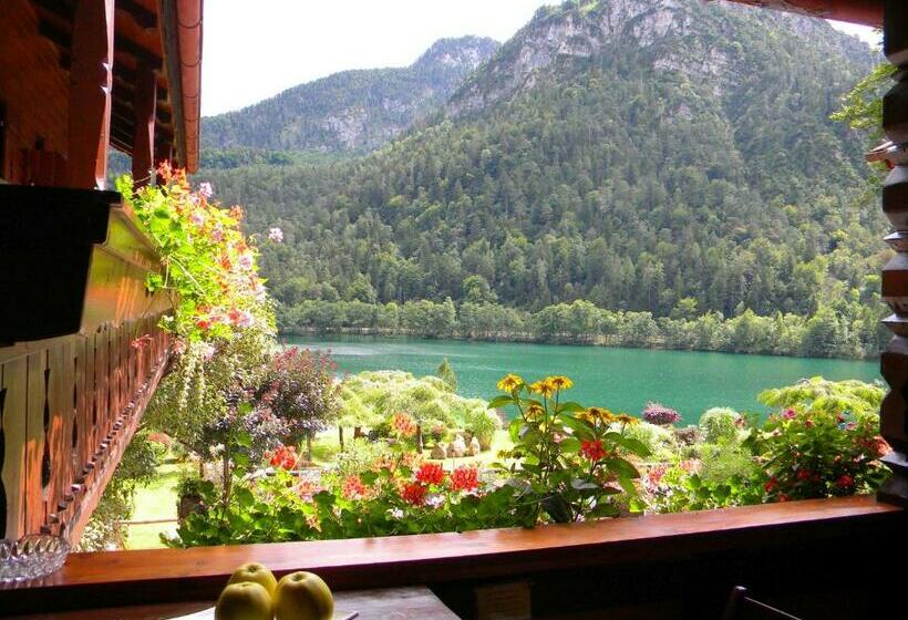 Camera Standard Singola con Balcone, Pension Hubertus