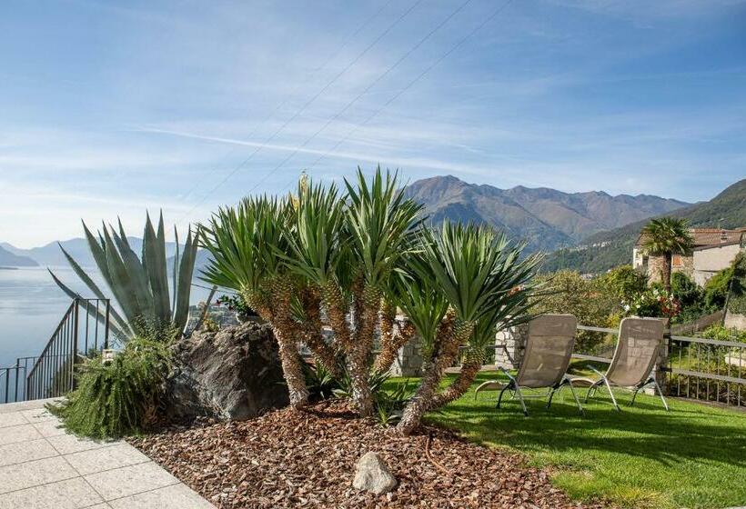 דירת חדר, Residence Cafelicita