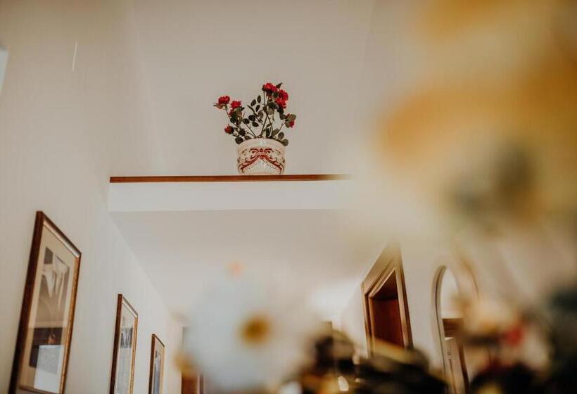 דירת 2 חדרים סופריור, Residenza Golfo Degli Ulivi