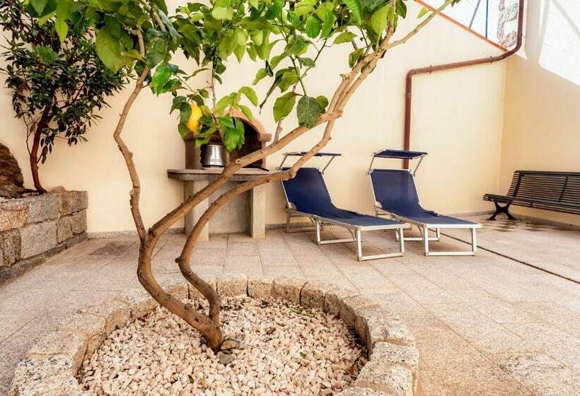 דירת חדר, Residenza Petrera