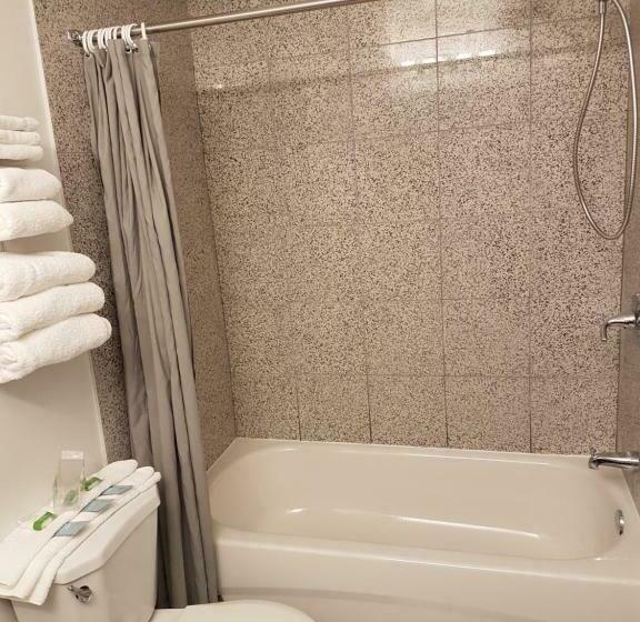 חדר סטנדרט עם מיטת קינג, Alpine Inn