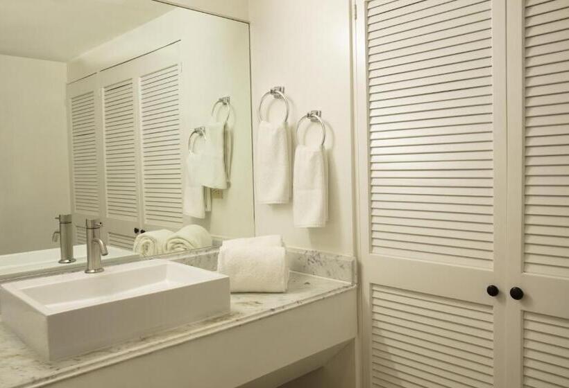 غرفة سوبيريور, Gamma Tijuana