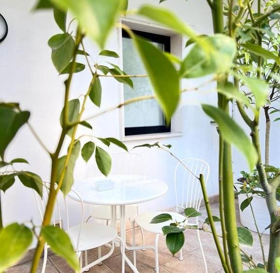 סוויטה עם טרסה, Imago Plus